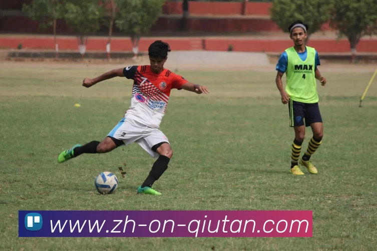 球探体育平台生态图